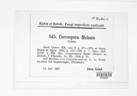 Corynespora cassiicola image